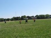 OTFL Gallery Image